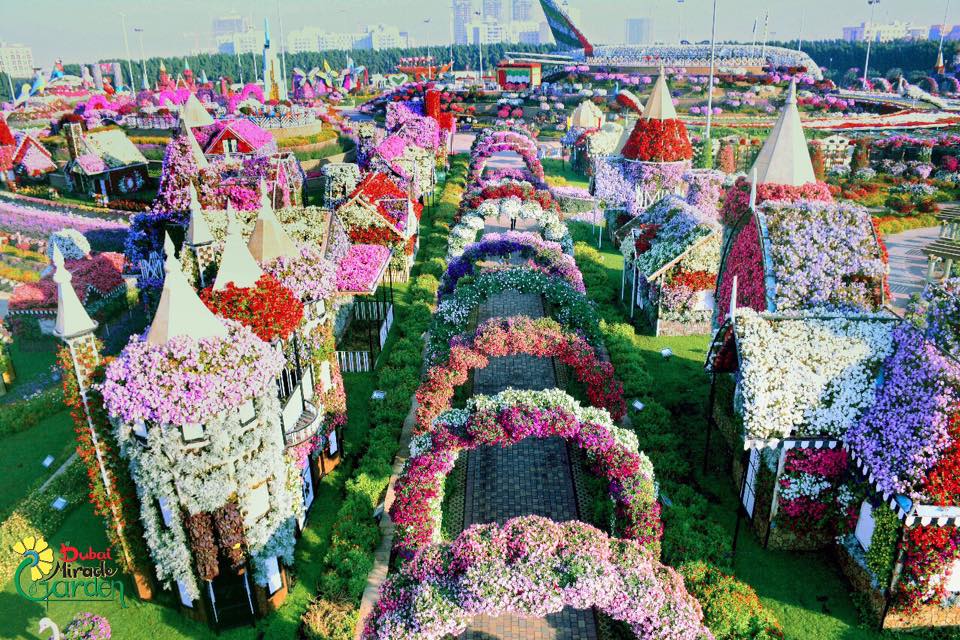 Dubai Miracle Garden and Other Attractions Set to Reopen Soon! insydo